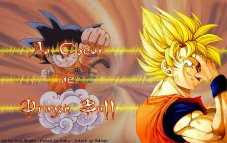 Au coeur de dragonball Z